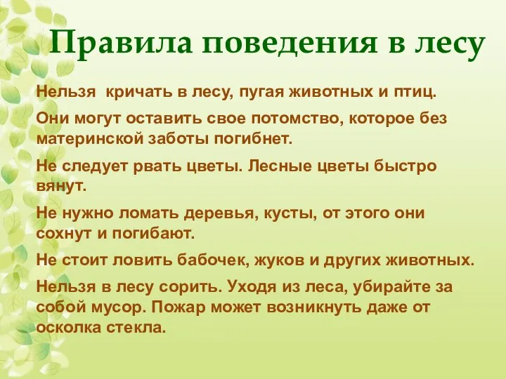 Нельзя кричать в лесу, пугая животных и птиц. Они могут оставить свое