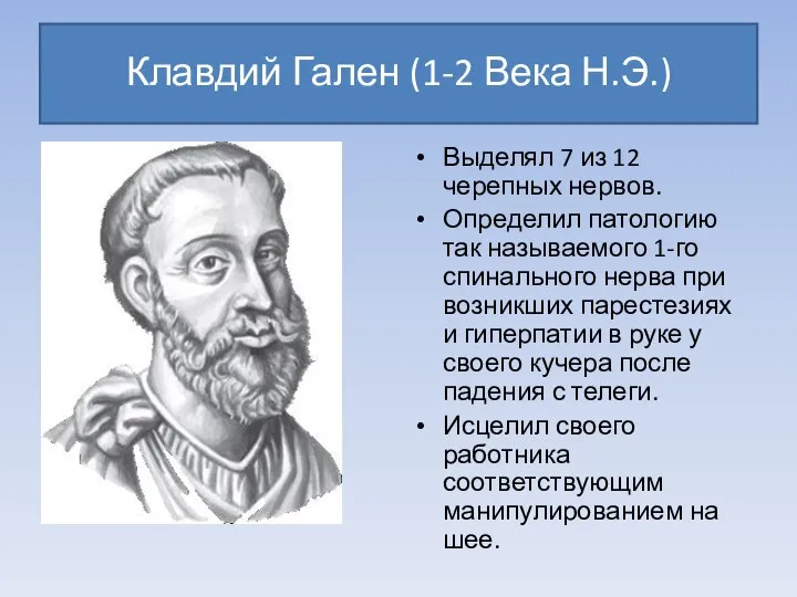 Клавдий Гален (1-2 Века Н.Э.) Выделял 7 из 12 черепных нервов. Определил