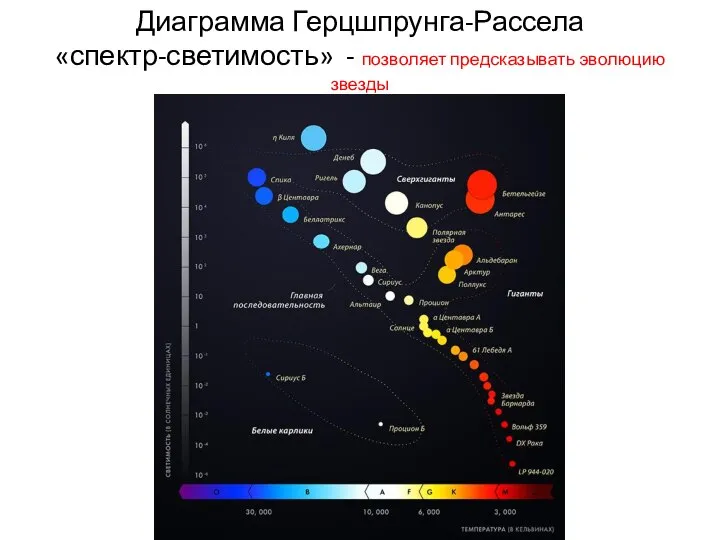 Диаграмма Герцшпрунга-Рассела «спектр-светимость» - позволяет предсказывать эволюцию звезды