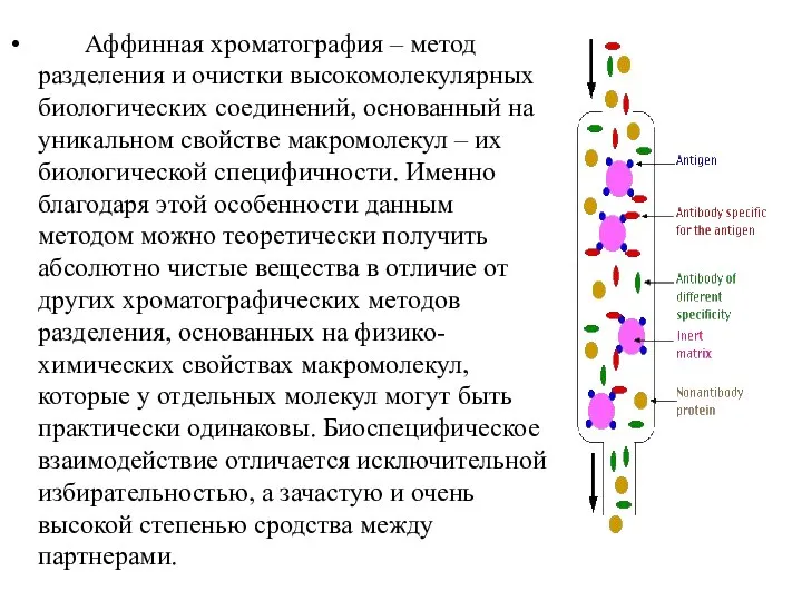 Аффинная хроматография – метод разделения и очистки высокомолекулярных биологических соединений, основанный на