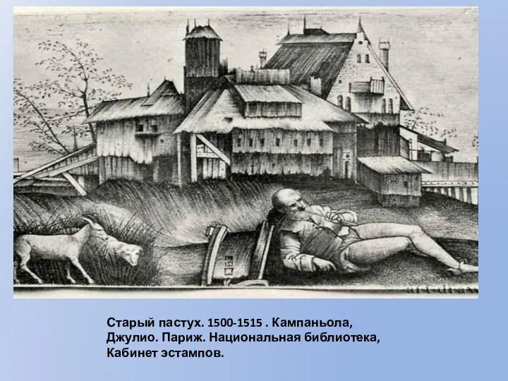 Старый пастух. 1500-1515 . Кампаньола, Джулио. Париж. Национальная библиотека, Кабинет эстампов.