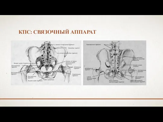 КПС: СВЯЗОЧНЫЙ АППАРАТ