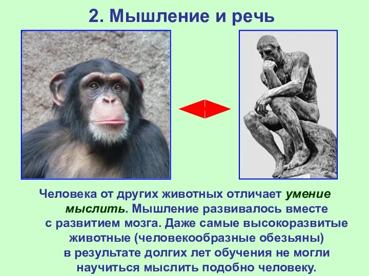 2. Мышление и речь Человека от других животных отличает умение мыслить. Мышление