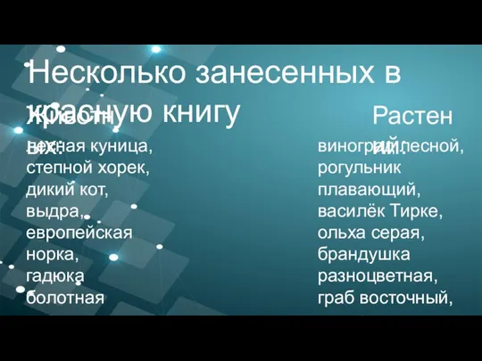 Несколько занесенных в красную книгу Животных: Растений: лесная куница, степной хорек, дикий