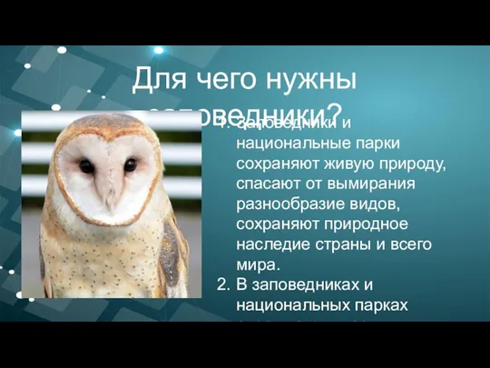 Для чего нужны заповедники? Заповедники и национальные парки сохраняют живую природу, спасают