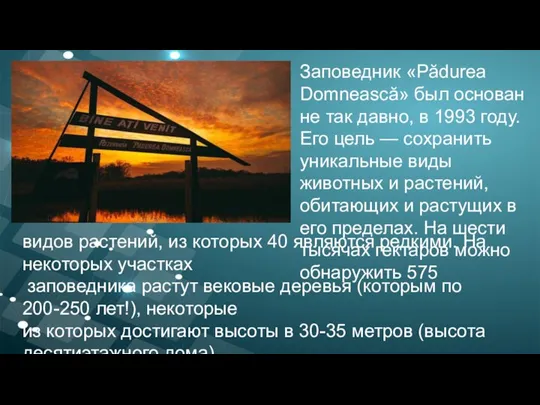 Заповедник «Pădurea Domnească» был основан не так давно, в 1993 году. Его