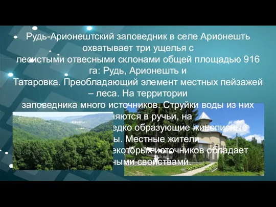 Рудь-Арионештский заповедник в селе Арионешть охватывает три ущелья с лесистыми отвесными склонами