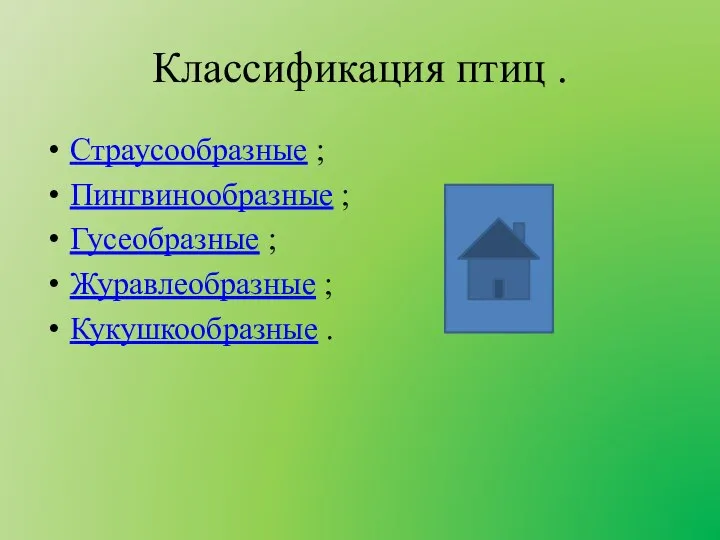 Классификация птиц . Страусообразные ; Пингвинообразные ; Гусеобразные ; Журавлеобразные ; Кукушкообразные .