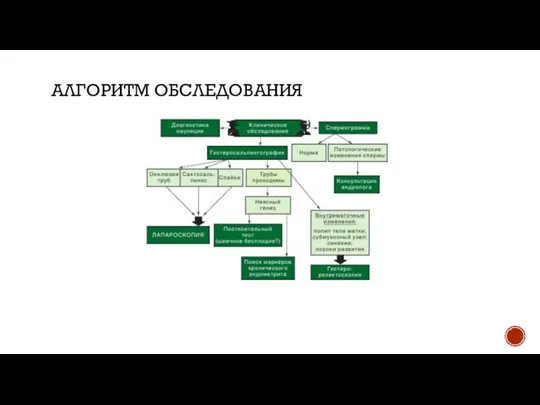 АЛГОРИТМ ОБСЛЕДОВАНИЯ