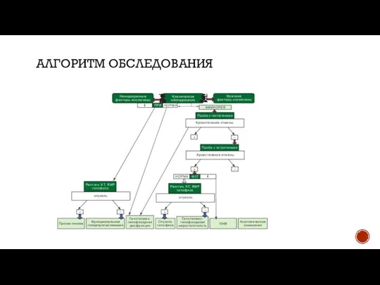 АЛГОРИТМ ОБСЛЕДОВАНИЯ