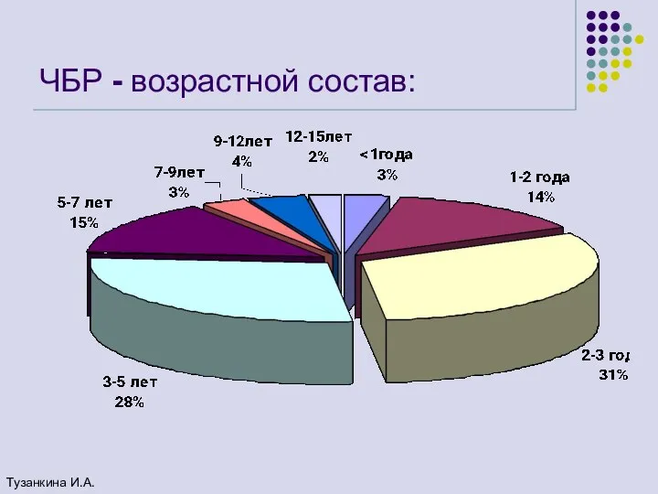 ЧБР - возрастной состав: Тузанкина И.А.