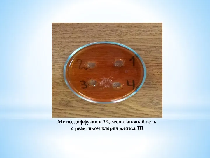 Метод диффузии в 3% желатиновый гель с реактивом хлорид железа III