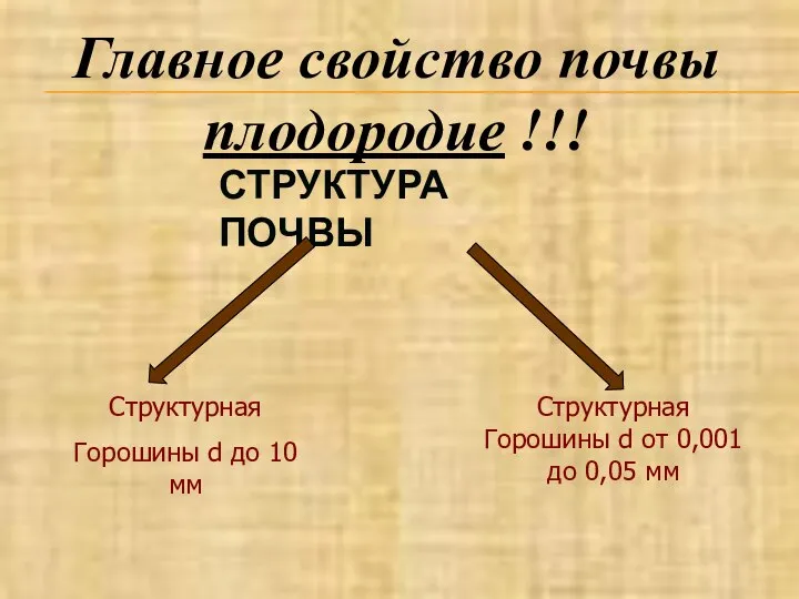 СТРУКТУРА ПОЧВЫ Структурная Горошины d до 10 мм Структурная Горошины d от