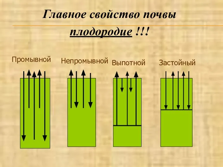 Промывной Непромывной Выпотной Застойный Главное свойство почвы плодородие !!!