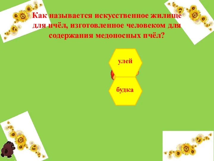 Как называется искусственное жилище для пчёл, изготовленное человеком для содержания медоносных пчёл? будка