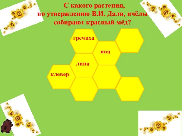 липа С какого растения, по утверждению В.И. Даля, пчёлы собирают красный мёд? клевер ива