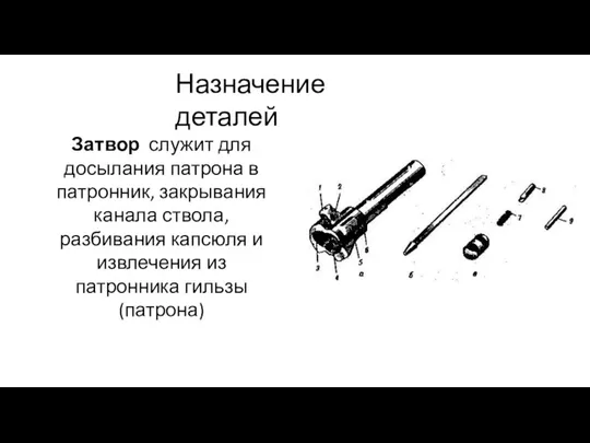 Назначение деталей Затвор служит для досылания патрона в патронник, закрывания канала ствола,