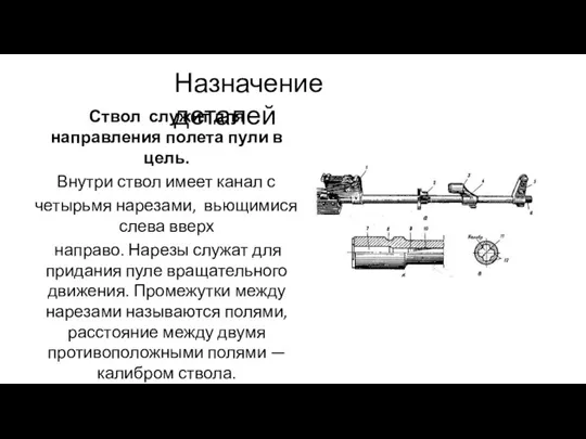 Назначение деталей Ствол служит для направления полета пули в цель. Внутри ствол