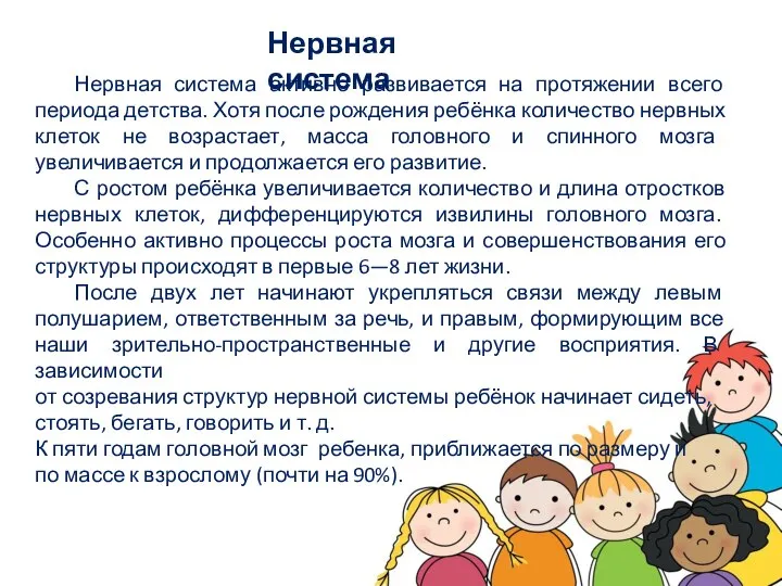 Нервная система активно развивается на протяжении всего периода детства. Хотя после рождения