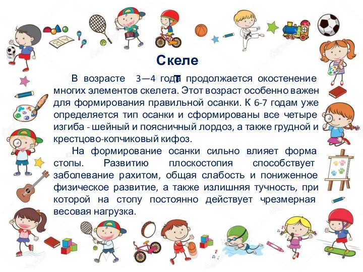 В возрасте 3—4 года продолжается окостенение многих элементов скелета. Этот возраст особенно