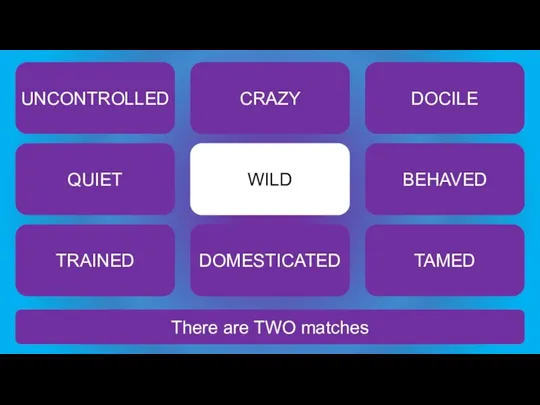 There are TWO matches WILD UNCONTROLLED CRAZY DOCILE QUIET BEHAVED TRAINED DOMESTICATED TAMED