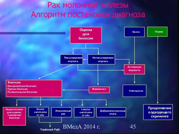ВМедА 2014 г. Рак молочной железы Алгоритм постановки диагноза Оценка для биопсии