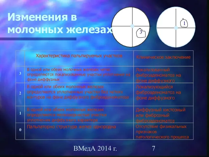 ВМедА 2014 г. Изменения в молочных железах 1 3