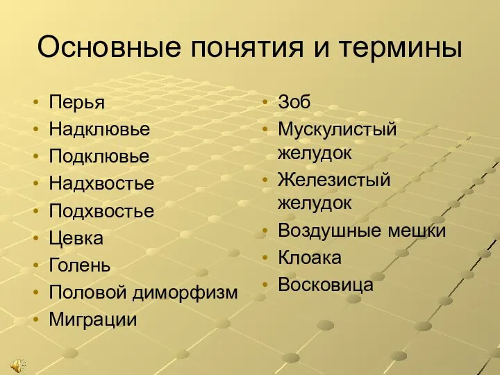 Основные понятия и термины Перья Надклювье Подклювье Надхвостье Подхвостье Цевка Голень Половой