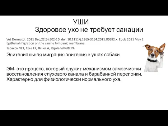 УШИ Здоровое ухо не требует санации Vet Dermatol. 2011 Dec;22(6):502-10. doi: 10.1111/j.1365-3164.2011.00982.x.