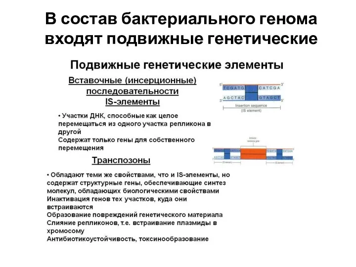 В состав бактериального генома входят подвижные генетические элементы.