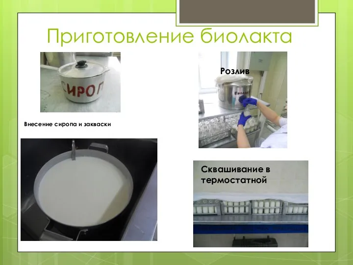 Приготовление биолакта Внесение сиропа и закваски Розлив Сквашивание в термостатной