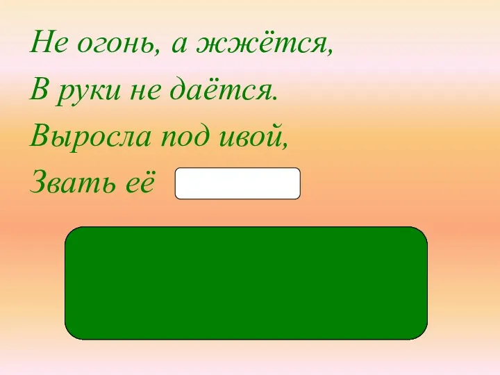 Не огонь, а жжётся, В руки не даётся. Выросла под ивой, Звать её кра-пи́-ва кр_пи́ва