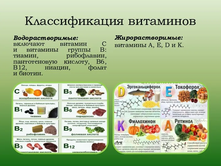 Классификация витаминов Водорастворимые: включают витамин С и витамины группы В: тиамин, рибофлавин,