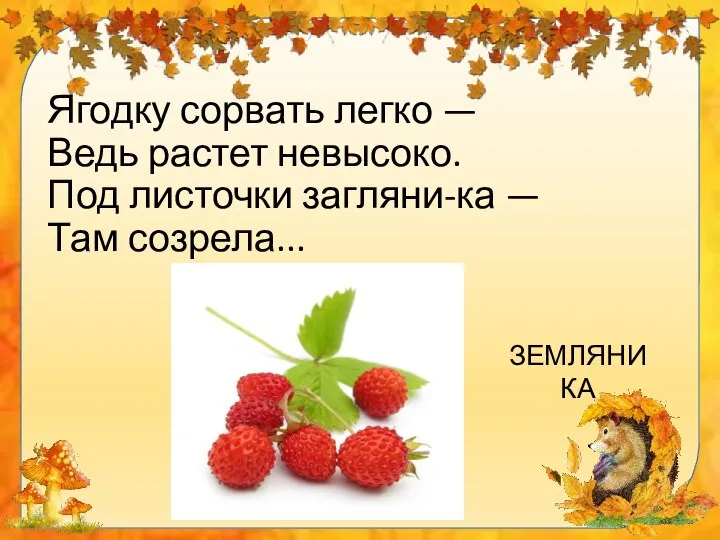 Ягодку сорвать легко — Ведь растет невысоко. Под листочки загляни-ка — Там созрела... ЗЕМЛЯНИКА