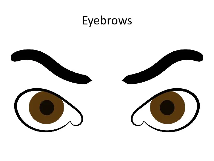 Eyebrows