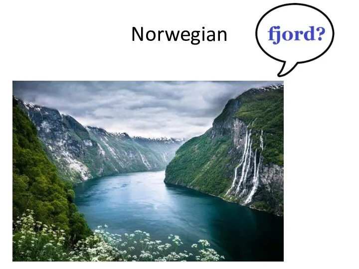 Norwegian