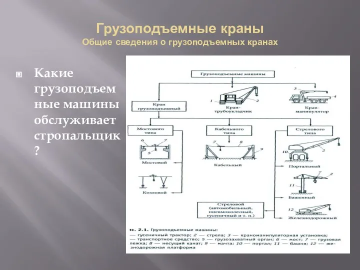 Грузоподъемные краны Общие сведения о грузоподъемных кранах Какие грузоподъемные машины обслуживает стропальщик?