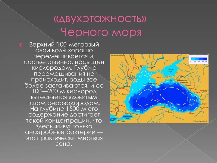 «двухэтажность» Черного моря Верхний 100-метровый слой воды хорошо перемешивается и, соответственно, насыщен