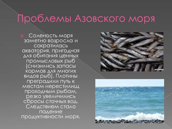 Проблемы Азовского моря Соленость моря заметно возросла и сократилась акватория, пригодная для
