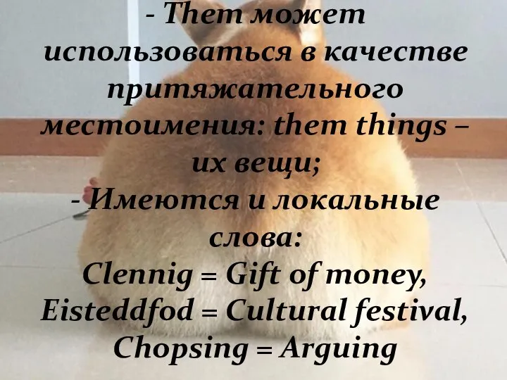 - Them может использоваться в качестве притяжательного местоимения: them things – их