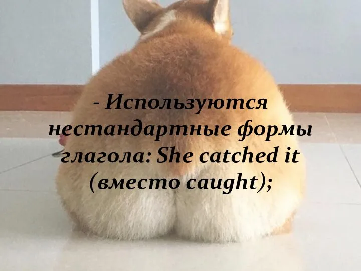 - Используются нестандартные формы глагола: She catched it (вместо caught);