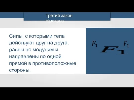 Силы, с которыми тела действуют друг на друга, равны по модулям и