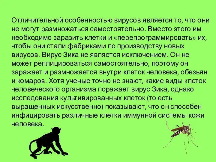 Отличительной особенностью вирусов является то, что они не могут размножаться самостоятельно. Вместо