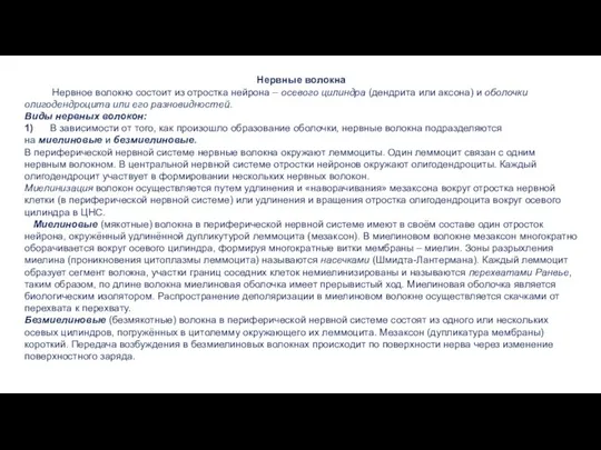 Нервные волокна Нервное волокно состоит из отростка нейрона – осевого цилиндра (дендрита