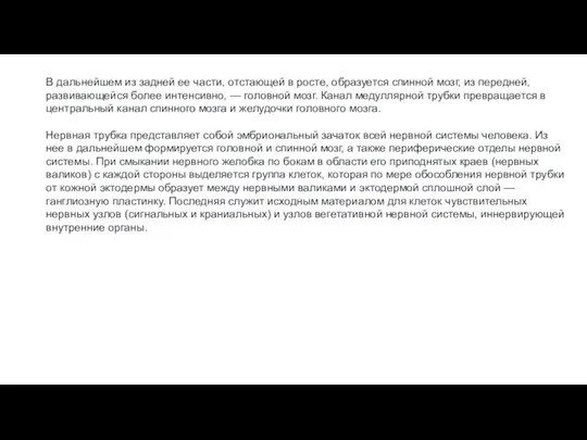 В дальнейшем из задней ее части, отстающей в росте, образуется спинной мозг,