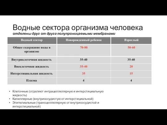 Водные сектора организма человека отделены друг от друга полупроницаемыми мембранами Клеточные (отделяют