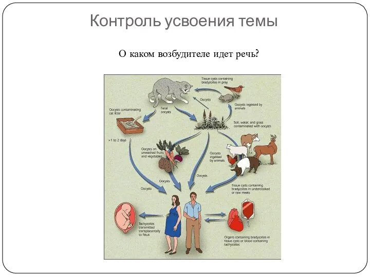 Контроль усвоения темы О каком возбудителе идет речь?