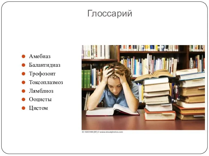 Глоссарий Амебиаз Балантидиаз Трофозоит Токсоплазмоз Лямблиоз Ооцисты Цистом