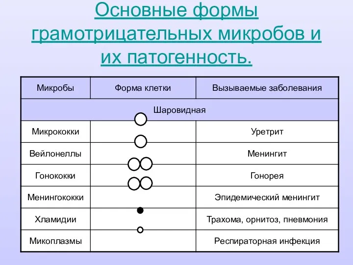 Основные формы грамотрицательных микробов и их патогенность.