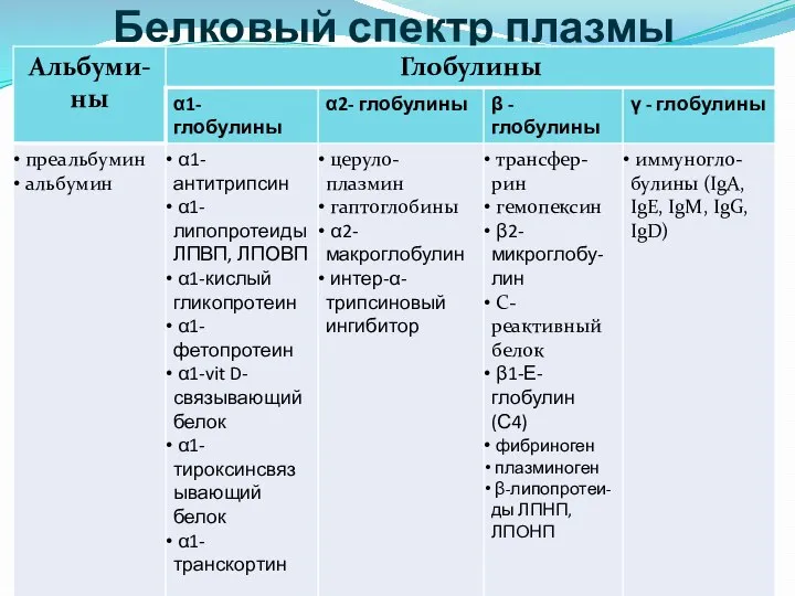 Белковый спектр плазмы